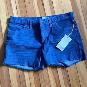 NWT Carve Designs Oahu Short in Coastal Blue
